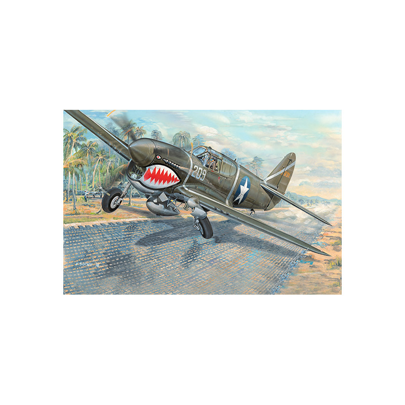 Trumpeter 03227 Сборная модель самолета P-40F War Hawk (1:32)